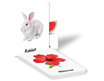 Phonics Flashcards
